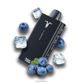 IGNITE V150 stylo vape glace aux myrtilles B0J8267 | IGNITE Vape Near Me