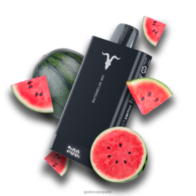 IGNITE V150 stylo vape mélange de pastèque B0J8280 | IGNITE France