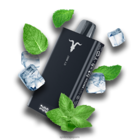IGNITE V150 stylo vape menthe glacée B0J8271 | IGNITE Vape Paris