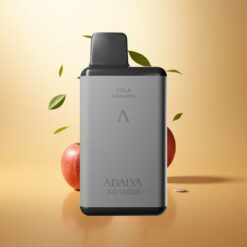 Adalya AD 10000 Les Deux Pommes Gris Espace avec 14 ml et 2% nicotine
