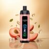 Aivono Aim Fatpro 22000 Glace à la Pêche 5% Nicotine 600mAh