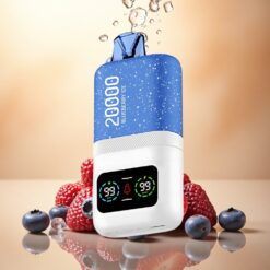 Aivono Aim Magic 20000 Glace à la Myrtille Dual Mesh 600mAh