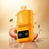 Aivono Aim Magic 20000 Pêche Glacée à Double Mesh et 600mAh